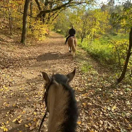 Bohemica 4 Apartment Kourim