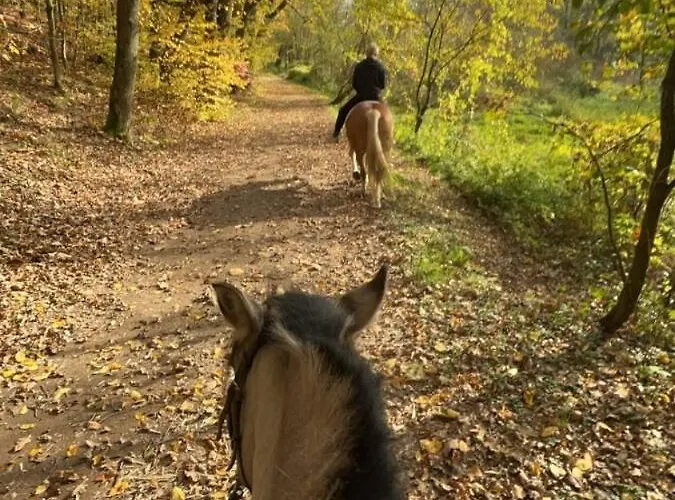 Bohemica 4 Apartamento Kouřim